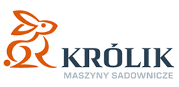 Królik
